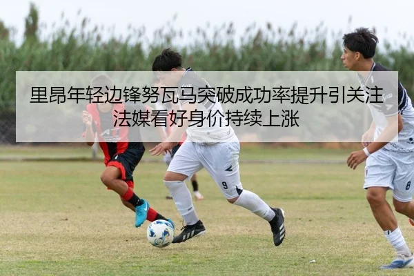 img_1783264176634_671_1_527.jpg